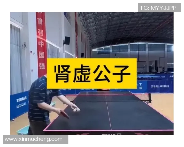 南京乒乓球队如何通过节奏革新提升竞技水平与团队协作能力
